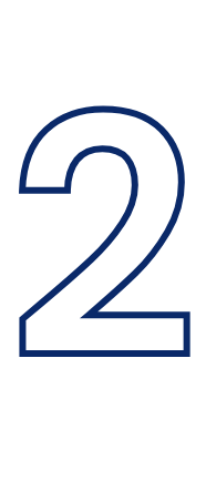 Icon 2